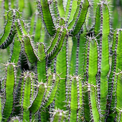 手机Clash使用全攻略：从入门到精通的高效上网指南