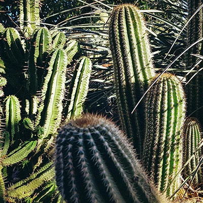 2月28日|20.8M/S，V2ray节点/Clash节点/Shadowrocket节点/SSR节点|免费订阅机场|每天更新免费梯子