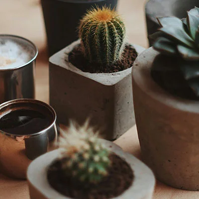 2月27日|18.8M/S，Clash节点/SSR节点/Shadowrocket节点/V2ray节点|免费订阅机场|每天更新免费梯子