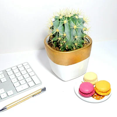 3月4日|18.6M/S，Shadowrocket节点/Clash节点/SSR节点/V2ray节点|免费订阅机场|每天更新免费梯子