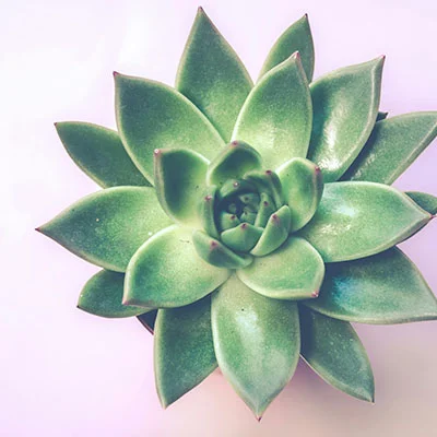 2018年全球网络自由指南：突破限制的科学上网全攻略