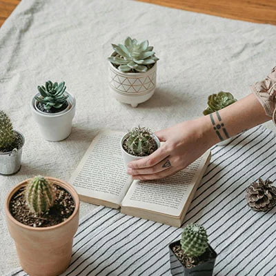 解决安装V2Ray时“找不到命令”问题的完整指南