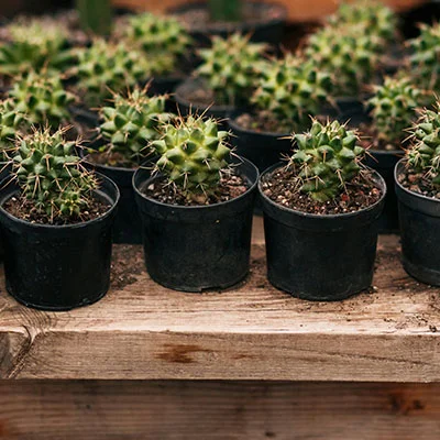 深度解析Clash加速器电脑版：下载、安装与配置完整指南