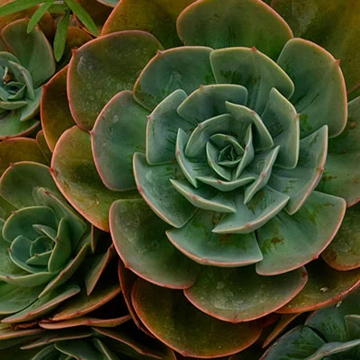 突破数字边界：科学上网加速器的全方位指南与深度解析