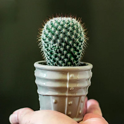 2月18日|18.9M/S，Shadowrocket节点/SSR节点/V2ray节点/Clash节点|免费订阅机场|每天更新免费梯子